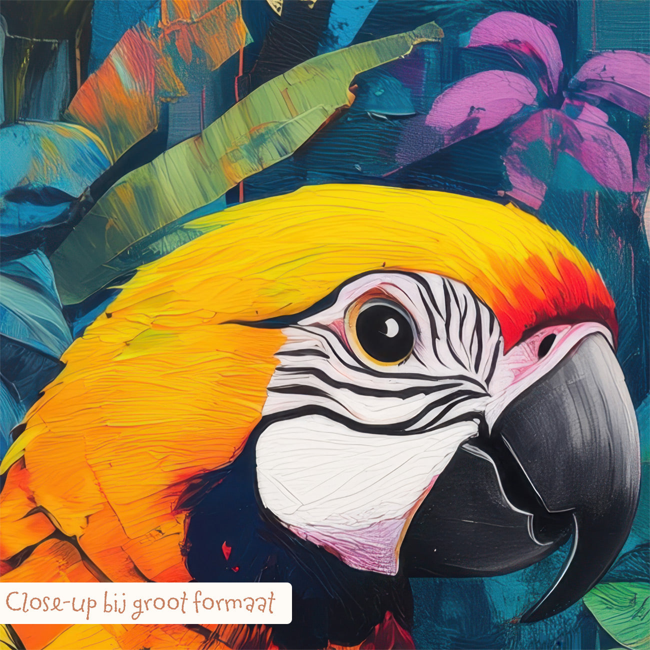 Regenwoud papegaai collage